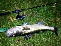 Тревелы: личная подборка и опыт