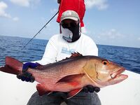 Мальдивы: кастинг и джиг — что включено