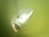 Пермит в Мексике: готовлюсь к следующему старту