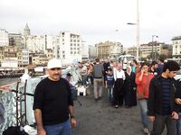 Стамбул: кефаль в ноябре отмечалась