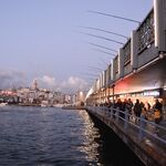 Галатский мост: ставрида на зелёную мушку