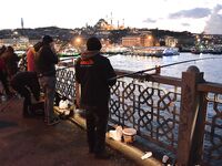 Галатский мост: ставрида на зелёную мушку