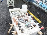 Стамбул: пытался на мосту