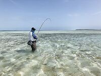 Лос Рокес нахлыст: дорога, бонфиш и выводы