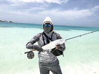 Лос Рокес нахлыст: дорога, бонфиш и выводы