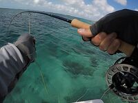 Лос Рокес нахлыст: дорога, бонфиш и выводы