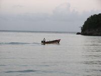 Ямайка, Очо Риос: коротко про троллинг