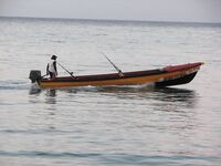 Ямайка, Очо Риос: коротко про троллинг