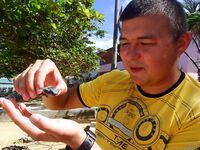 Ямайка, Очо Риос: коротко про троллинг