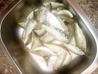 Хургада август-сентябрь: донки, дропшот и прилив