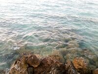 Хургада август-сентябрь: донки, дропшот и прилив