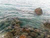 Хургада август-сентябрь: донки, дропшот и прилив