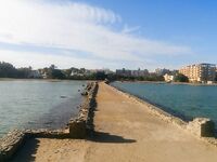 Хургада: глухозимье и выручила форелевая железа