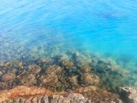 Хургада: глухозимье и выручила форелевая железа