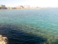 Хургада: глухозимье и выручила форелевая железа