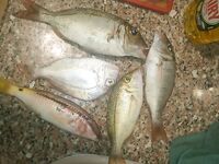 Хургада: план на май и чем кормить