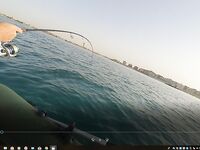 Хургада май-июнь: лодка и ультралайт с берега