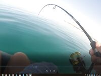 Хургада май-июнь: лодка и ультралайт с берега