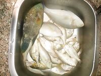 Хургада май-июнь: лодка и ультралайт с берега