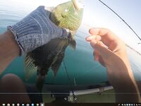 Хургада май-июнь: лодка и ультралайт с берега