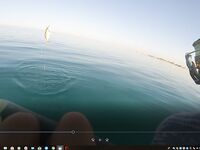 Хургада май-июнь: лодка и ультралайт с берега