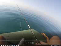 Хургада май-июнь: лодка и ультралайт с берега