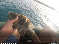 Хургада май-июнь: лодка и ультралайт с берега