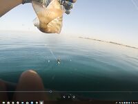 Хургада май-июнь: лодка и ультралайт с берега