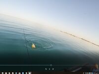 Хургада май-июнь: лодка и ультралайт с берега