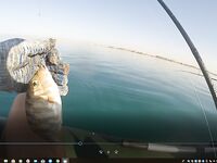 Хургада май-июнь: лодка и ультралайт с берега