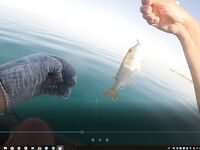 Хургада май-июнь: лодка и ультралайт с берега