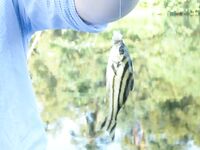 Керала: фото без текста