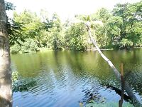 Керала: фото без текста