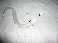 Керала: фото без текста