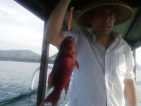 Один групер, большие крючки и деревянная катушка на Бали