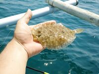 Джимбаран: живая креветка, волна и большая вода вместо моста