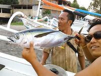 Амед: Gili Selang, бонус за трофей и mahi-mahi у бамбукового плота