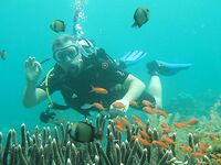 Амед: Gili Selang, бонус за трофей и mahi-mahi у бамбукового плота