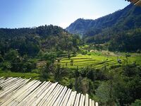 Санур и Амед: Noeby, дождь на старте и тунец на второй день