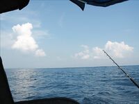 Нуса-Дуа: троллинг, донка с креветкой и один тунец за семь часов