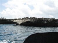 Нуса-Дуа: троллинг, донка с креветкой и один тунец за семь часов