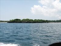 Нуса-Дуа: троллинг, донка с креветкой и один тунец за семь часов