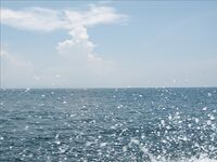 Нуса-Дуа: троллинг, донка с креветкой и один тунец за семь часов