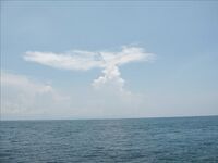 Нуса-Дуа: троллинг, донка с креветкой и один тунец за семь часов