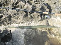 Айя-Напа: барракуда на минноху и флейторыл за пещерами