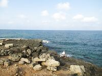 Айя-Напа: барракуда на минноху и флейторыл за пещерами