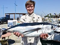 Айя-Напа: марина, сарган и тунец на коротком окне