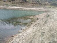 Пафос: Канавью, китайский поппер и басс на 1.165 кг