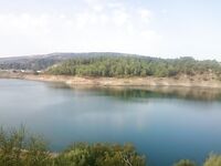 Пафос: Канавью, китайский поппер и басс на 1.165 кг