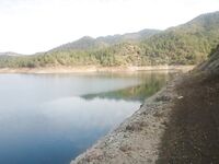 Пафос: Канавью, китайский поппер и басс на 1.165 кг